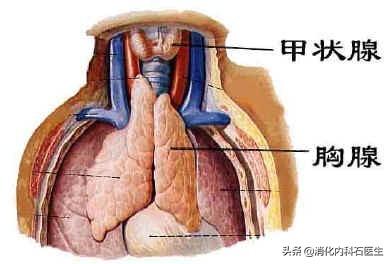 胸前像鸡皮疙瘩似的