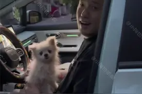 丈夫捡回来一只流浪狗，妻子不仅没生气，还高兴地跟狗狗打招呼！图片