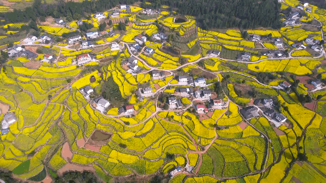 四川省民生研究会新媒体中心-官网