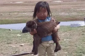 西藏小女孩看见摄影师在拍照，于是立马抱起身边的小羊羔图片