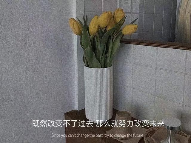 ճ̬Ȧİ