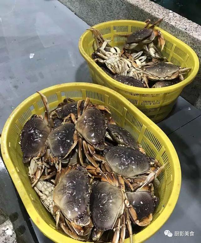 花胶选几级的 花胶等级顺序鱼胶排名大全