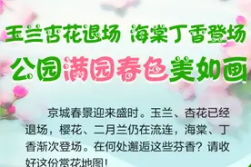 海棠、丁香登场！周末赏花去哪里？北京赏花地图来了图片