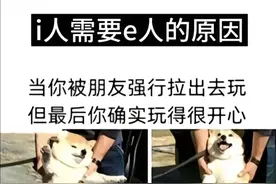 中听 | i人还是e人？别让字母给社交设限图片