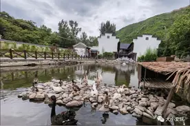 不再土里土气，现在的农家大院各个神奇！小溪、大草坪、霸气泳池图片