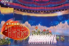 从开场《花开种花家》看央视春晚，真的用心了图片