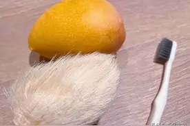 给芒果核梳毛，正常？图片