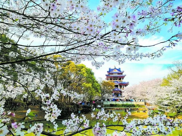 入展图赏 | 南孔圣地 时代风尚