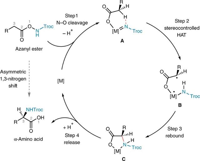 Nat. Chem.：手性α-氨基酸合成新方法——1,3-氮迁移