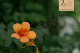 处暑丨四时俱可喜，最好新秋时图片