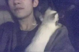 猫：“你们馋了半辈子的男人，被我吸了！”图片