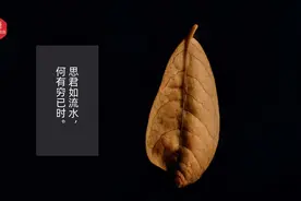 思君如流水，何有穷已时图片