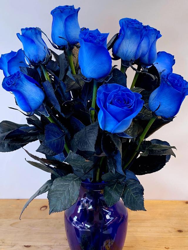 淡蓝色玫瑰花叫什么名字,100朵玫瑰vol.