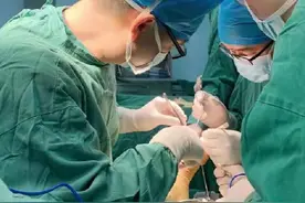 还把痛风当小事？有人因此双手酷似“生姜”，手术取出一盘“石头”图片