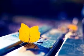人活着，求什么，争什么，气什么，愁什么呢？图片