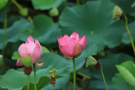 男人不把钱交给老婆管，原因有三，很现实图片