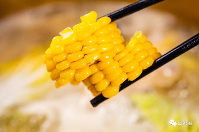 港式花胶泡大 港式花胶鸡汤怎么熬