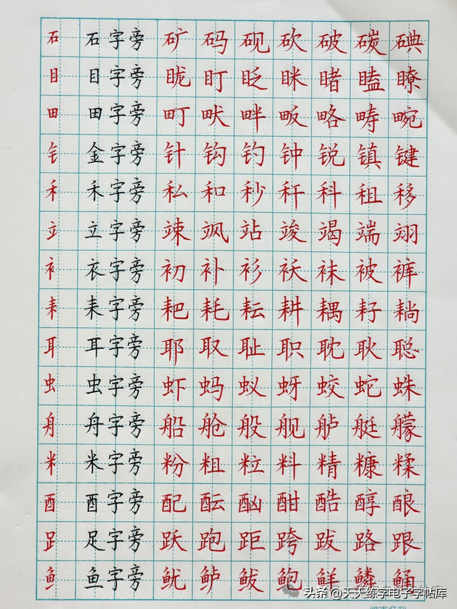 46个左偏旁（全），总该能写好字了吧？
