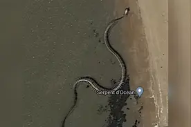 30米巨蛇骨架在谷歌地图都可见，网友怀疑是泰坦蟒，真相是什么？图片