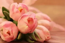 用自己照片当微信头像的人，都是什么样的人图片