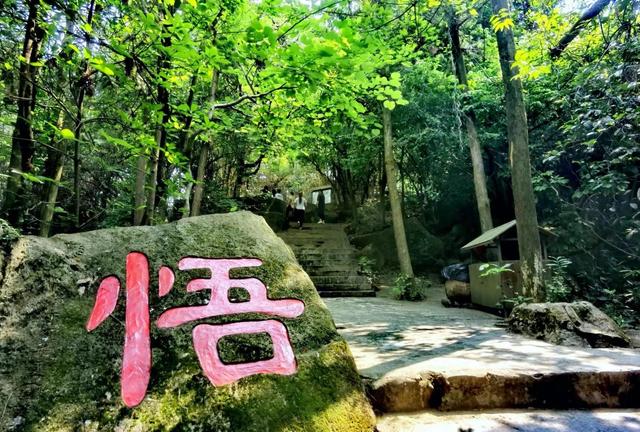 中山五桂山逍遥谷(消暑何处去中山逍遥谷)_baike_天天读书网