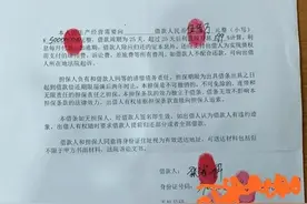中国新闻网：五问 “张继科事件”图片