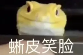 蜥蜴逃跑为什么这么好笑啊？看起来就像是会轻功图片