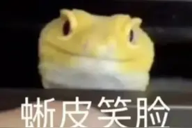 蜥蜴逃跑为什么这么好笑啊？看起来就像是会轻功图片