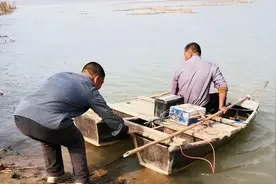 三老表结伙电鱼，全部判刑又赔钱！图片