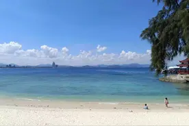 在孩子成长的过程中多陪伴，长大想伴孩子，孩子身旁已有他（她）图片