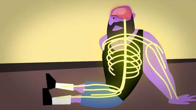 肌肉是如何生长的？