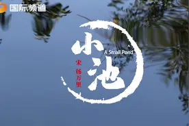 跟着节气读诗词丨立夏：小荷才露尖尖角，早有蜻蜓立上头图片