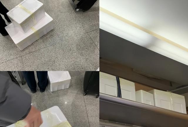 花胶有个土味 2026年花胶有腥味怎么办