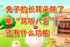 兔子的长耳朵除了能“耳听八方”，还有什么功能？蚂蚁庄园答案图片