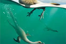 「蒙古共和国」世界首只游泳恐龙在蒙古共和国被发现图片