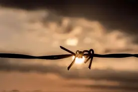 老了才知道，多子女家庭跟独生子女家庭的本质区别，很现实图片