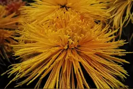 对P2P案件的思考图片