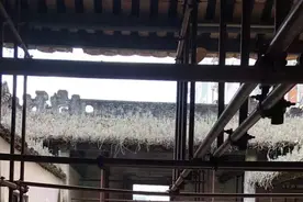 又是一年清明时，“检察蓝”护“革命红”图片