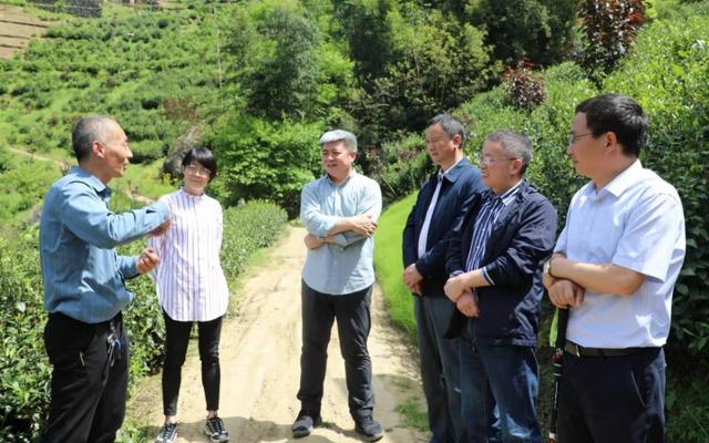 科技创新踔厉奋发 富硒科研笃行不怠——安康市富硒产品研发中心2021年工作简记