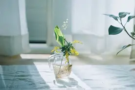 “天命之人，身怀贵气”：有这些天命，上天会暗中照顾你图片