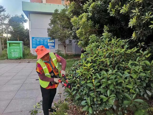 东湖新技术开辟区豹澥街分类专班黄金堂社区开展清洁家园活动