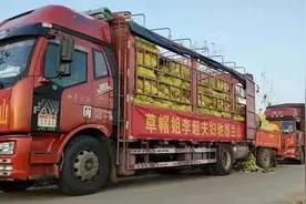 草帽姐夫妇静默不忘献爱心，20万斤爱心大白菜驰援兰山同心抗疫图片