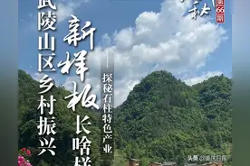 《重庆探秘》预告 | 明天，去石柱看黄连、采莼菜、喝“幸福米米茶”图片