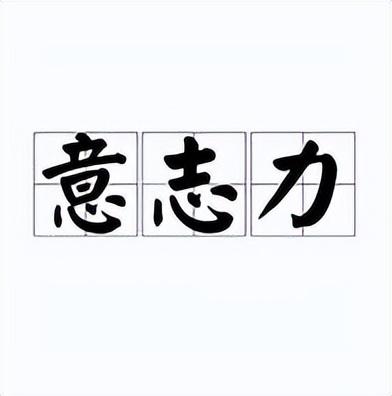 毅力是什么意思【什么是意志力】 - 桓桂百科号
