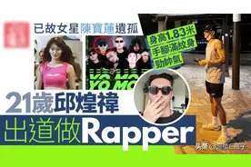 陈宝莲离世21年，她的儿子长大了要出道了？图片