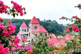 一、广东省茂名市高州市十大景区有哪些？自驾游如何安排行程？图片