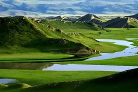 唐五代词中的绿色，绿树浓荫得清凉！图片