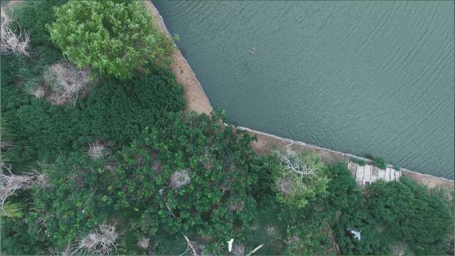 山东成武：水清岸绿引鹭栖 生态画卷入眼帘