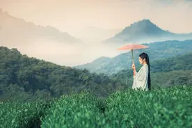 八首让人内心安定的诗词，读完心情舒畅、淡若清风，得到自在安宁图片