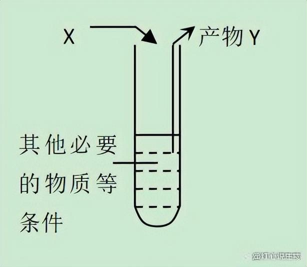 高中生物-基因的本质与表达